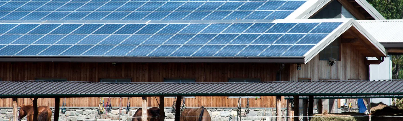 Enerbee commercial energy imagery