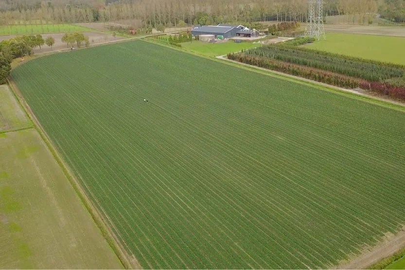 Enerbee commercial energy imagery
